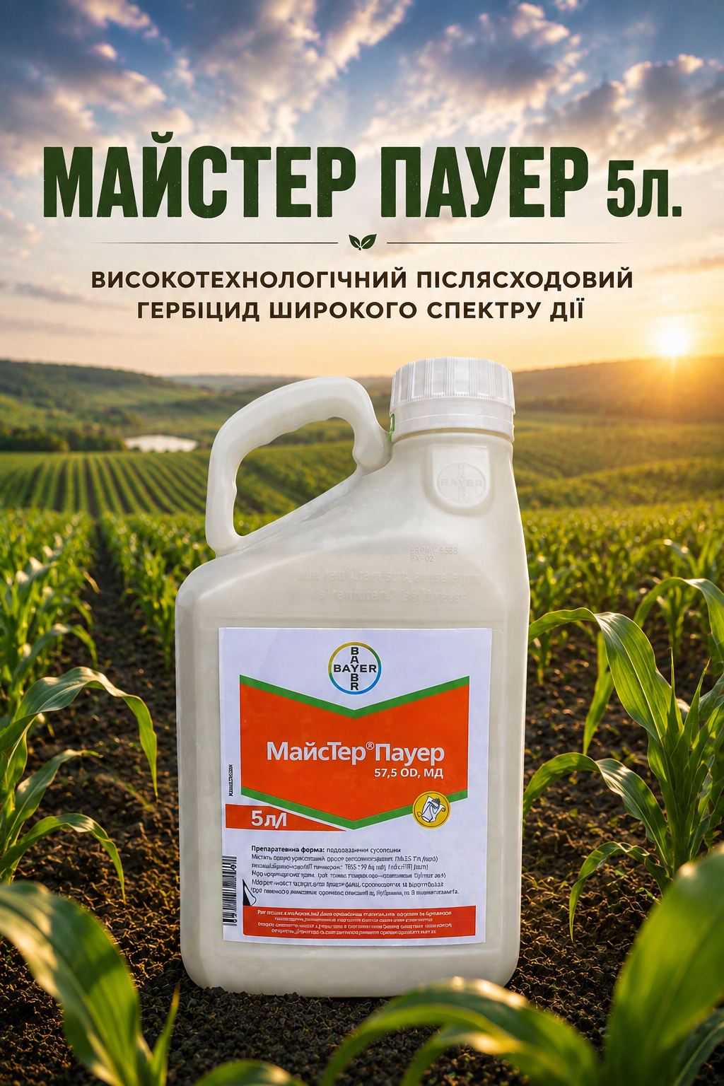 Майстер Пауер 5л